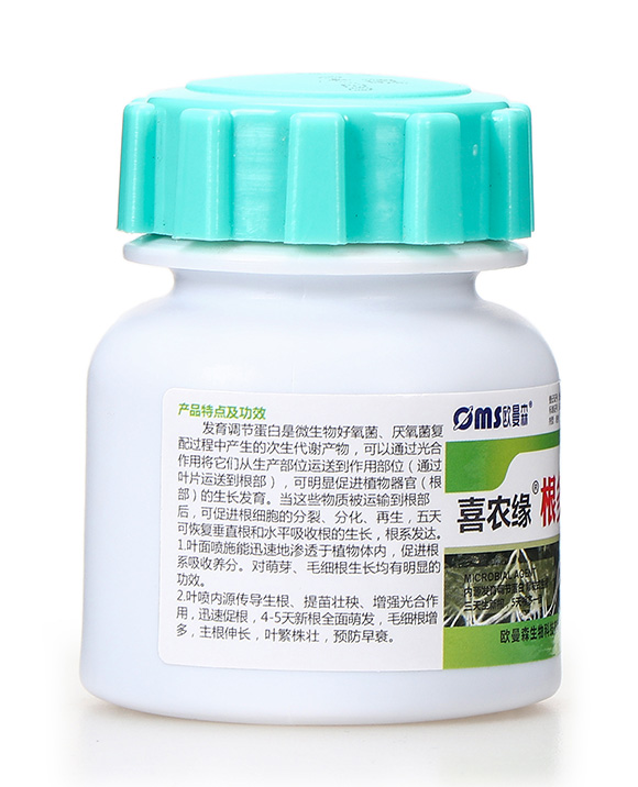 ���࿵-ϲ�r(n��ng)��-�W��ɭ6