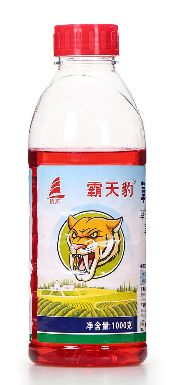 1000�˲ݸ�좮������} ���챪 ϲ�S��5