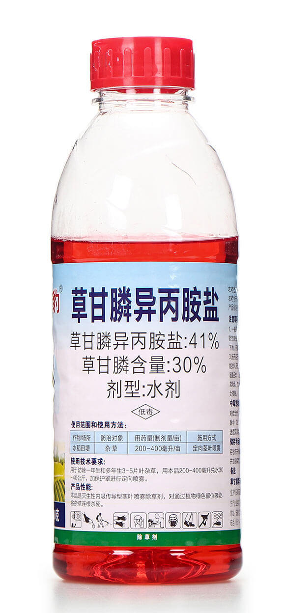 1000�˲ݸ�좮������} ���챪 ϲ�S��6