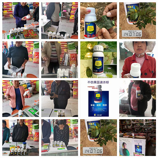 ����� ����֮��2