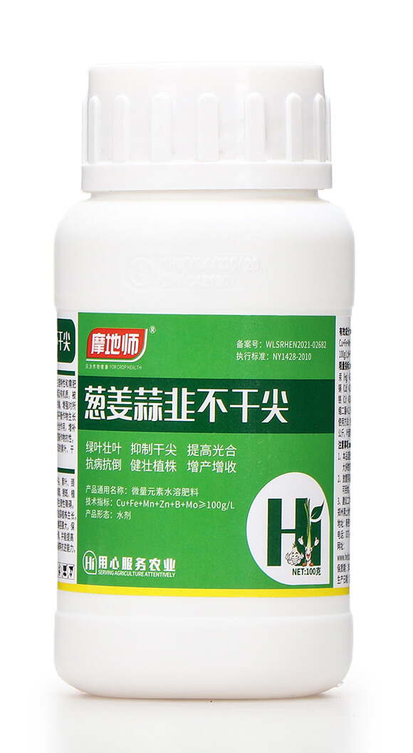 �[����²��ɼ� Ħ�؎�5