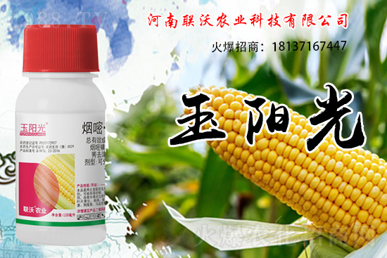 ���׳��ݞ�ʲô�x����������������݄���δ�