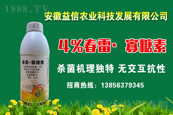 ���r(n��ng)���W(w��ng)ϲӭ���������y�������r(n��ng)�I(y��)����ؔ(c��i)��֮·��