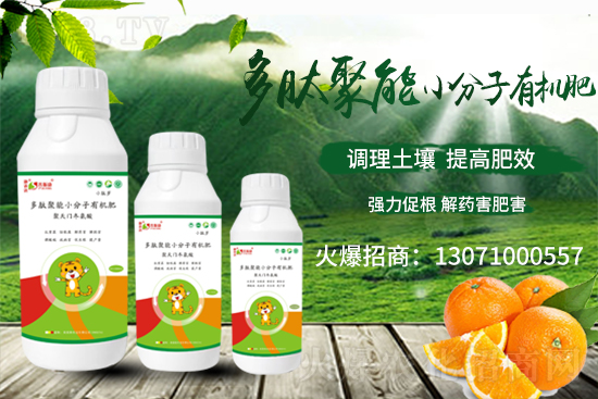 ��(zh��n)�Ժ�������������˹���ʘI(y��)�y��1988.TV�ل�(chu��ng)�x����