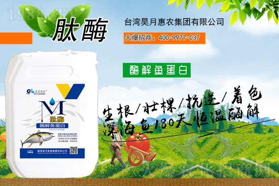 �y�ֹ��M(j��n)���T�����x������»��r(n��ng)���s�r(n��ng)���W(w��ng)���A2021��