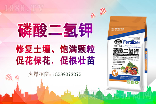 �����P(gu��n)ϵ�����A���m���r(n��ng)�I(y��)�c1988.TV�_����ƪ����