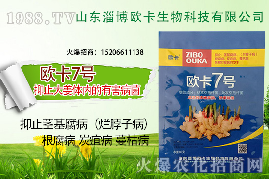 �W�������ٺ�1988.TV������(sh��)�F(xi��n)��I(y��)�v�w��(m��ng)��