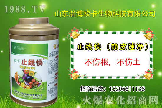 �W�������ٺ�1988.TV������(sh��)�F(xi��n)��I(y��)�v�w��(m��ng)��