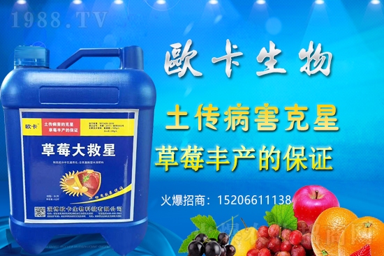 �W�������ٺ�1988.TV������(sh��)�F(xi��n)��I(y��)�v�w��(m��ng)��