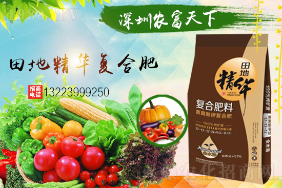 �����������������A���r�������ٺ�1988.TV��(chu��ng)���x����