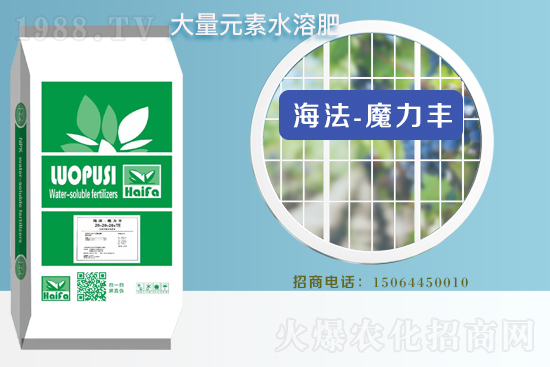 �r(n��ng)���W(w��ng)ϲӭ���������y���Z��˹����ؔ��֮·��