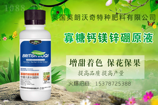 Ӣ������ɹ����s1988.TV���y�ֹ���(chu��ng)��(zh��n)����