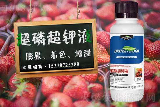 Ӣ������ɹ����s1988.TV���y�ֹ���(chu��ng)��(zh��n)����