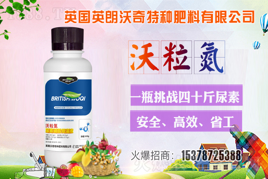 Ӣ������ɹ����s1988.TV���y�ֹ���(chu��ng)��(zh��n)����