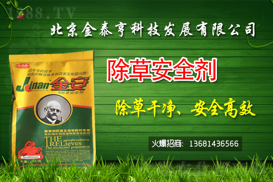 �r����݄�