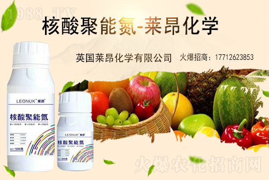 ���؃r(ji��)�������߄���2021.6.28����(n��i)���ʃr(ji��)�������Ո�(b��o)