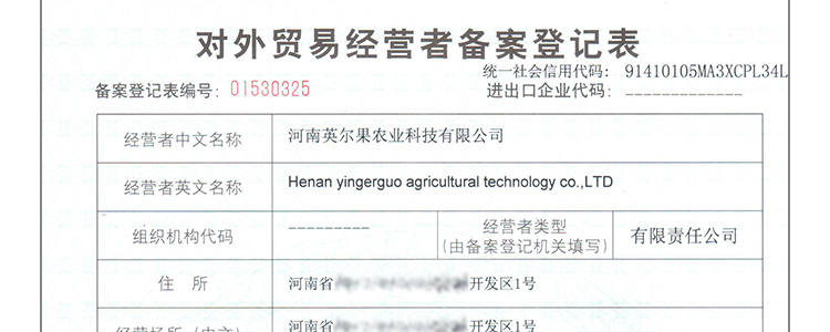 �w������_31