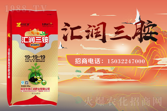 �r(n��ng)���W(w��ng)ϲӭ���������Ј�R�����s1988.TV�y�ִ����������E��