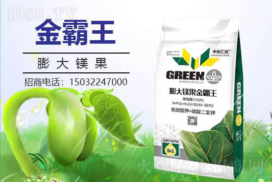 �r(n��ng)���W(w��ng)ϲӭ���������Ј�R�����s1988.TV�y�ִ����������E��