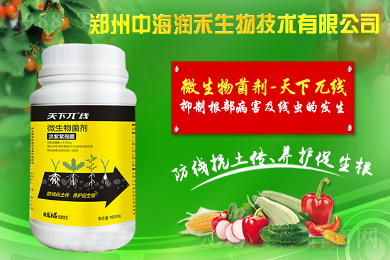     �к������ٺ����r(n��ng)�����̾W(w��ng)�����M(j��n)��(zh��n)�Ժ�����������