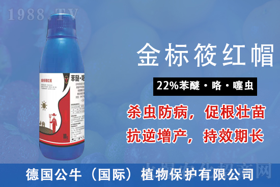 �׾����������r(ji��)���߄�