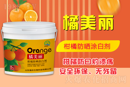 ���\(ch��ng)���������Aδ��(l��i)��ɽ�|��(qi��ng)�r(n��ng)�����ٺ�1988.TV���ل�(chu��ng)���x����