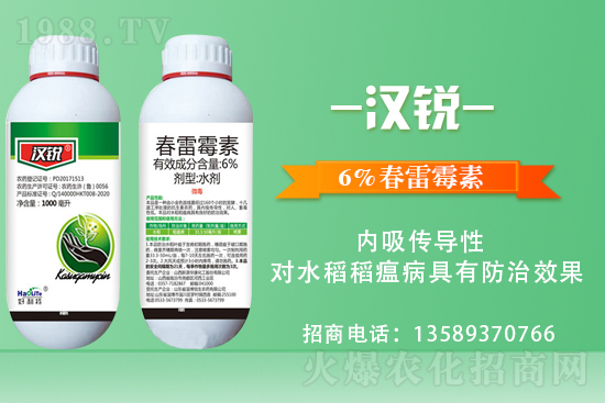     �������\�°l(f��)չ�����u�������ٴκ��s1988.TV��