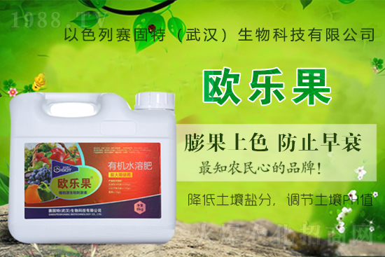 ��ɫ��ِ�����ٶȔy��1988.TV���y�ֹ���(chu��ng)��(zh��n)�����ل�(chu��ng)�x����