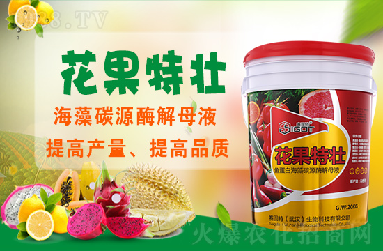 ��ɫ��ِ�����ٶȔy��1988.TV���y�ֹ���(chu��ng)��(zh��n)�����ل�(chu��ng)�x�ͣ�