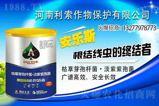 ��ռ�̙C(j��)���������A�����������y���r(n��ng)���W(w��ng)�ل�(chu��ng)���x����