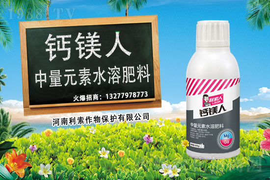 ��ռ�̙C(j��)���������A�����������y���r(n��ng)���W(w��ng)�ل�(chu��ng)���x�ͣ�