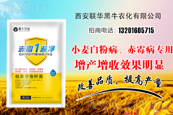 С���r(ji��)��