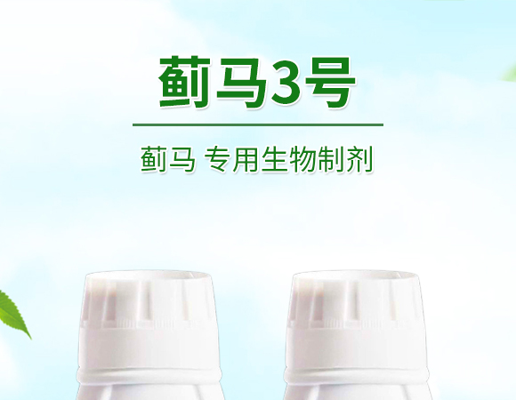 薊馬、跳甲生物制劑-薊甲3號-悅地豐生物_01