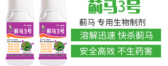 薊馬、跳甲生物制劑-薊甲3號-悅地豐生物_03