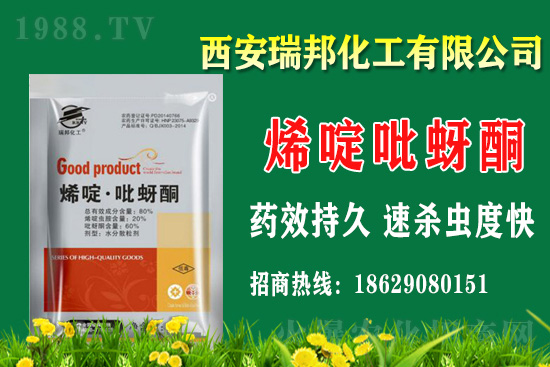 2021��8��4�հ��S���x�Κ��x���r������