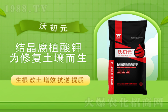 ���؎���»���2021��9��15�Շ���(n��i)���������߄�