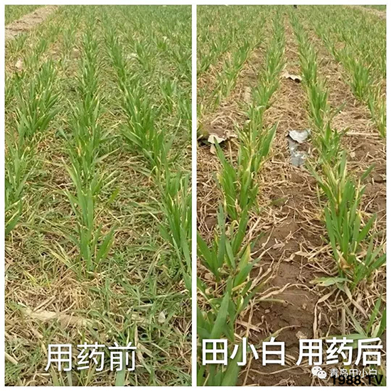 С���s������(ji��)��(ji��)�����E�ɞ�(z��i)����ô�k��С�����݄���ô�x