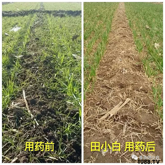 С���s������(ji��)��(ji��)�����E�ɞ�(z��i)����ô�k��С�����݄���ô�x