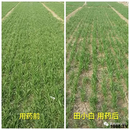 С���s������(ji��)��(ji��)�����E�ɞ�(z��i)����ô�k��С�����݄���ô�x