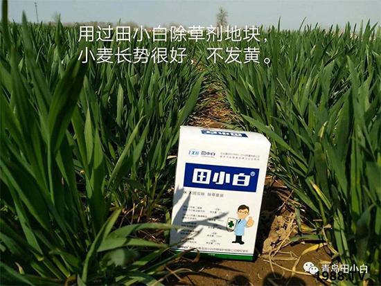 С���s������(ji��)��(ji��)�����E�ɞ�(z��i)����ô�k��С�����݄���ô�x