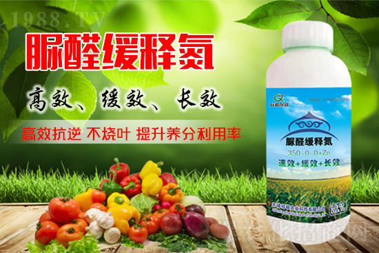 2021��10��3�Շ������؃r�������܈�