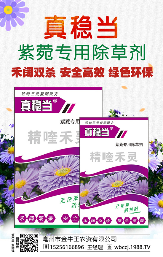 ����ţ���r�Y��ף�r�Y���N�����т�2022����옷����ϲ�l(f��)ؔ��