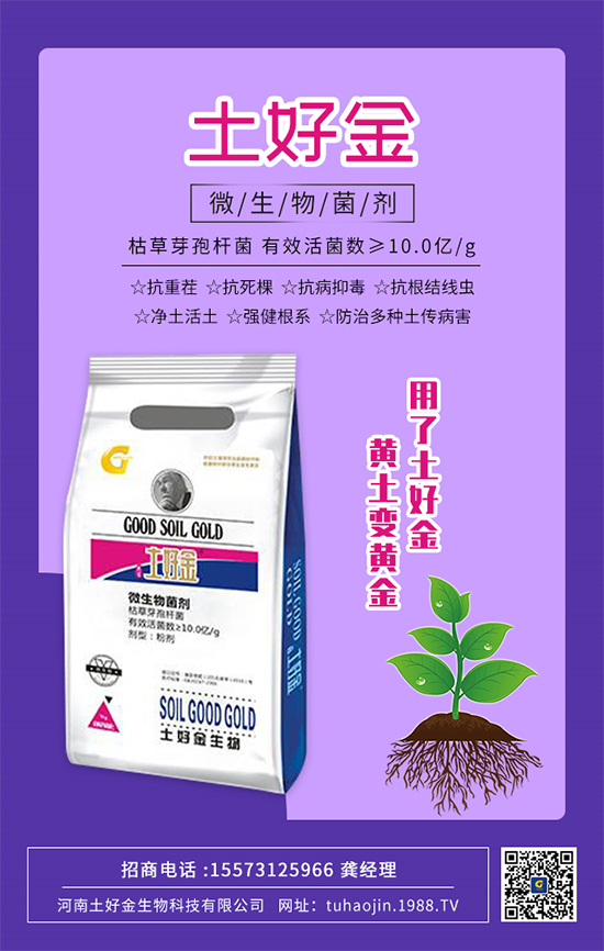 ���������ý�ףȫ��(gu��)�r(n��ng)�Y��(j��ng)�N�����т�2022����옷(l��)�������d¡���f(w��n)�����⣡