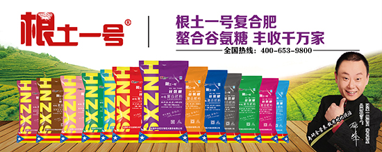 �Ȱ��Ǐ�(f��)�Ϸ���