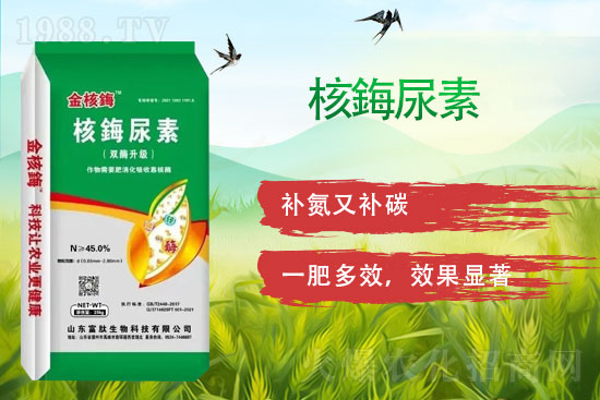 ���ڿ�����ø��ף���т�����옷�����w������ǰ�����\���������M��