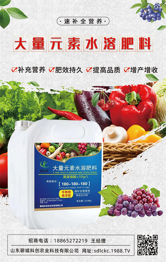 ɽ�|�ĳǿƄ�(chu��ng)�ٺ�1988.TV�����\�������p�A��