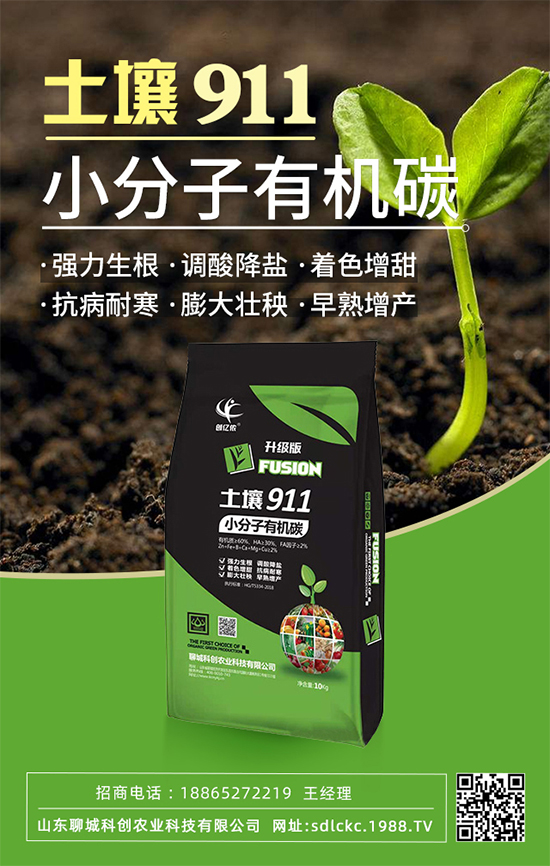 ɽ�|�ĳǿƄ�(chu��ng)�ٺ�1988.TV�����\�������p�A��