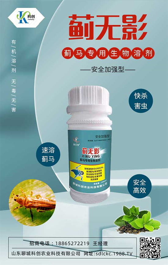 ɽ�|�ĳǿƄ�(chu��ng)�ٺ�1988.TV�����\�������p�A��