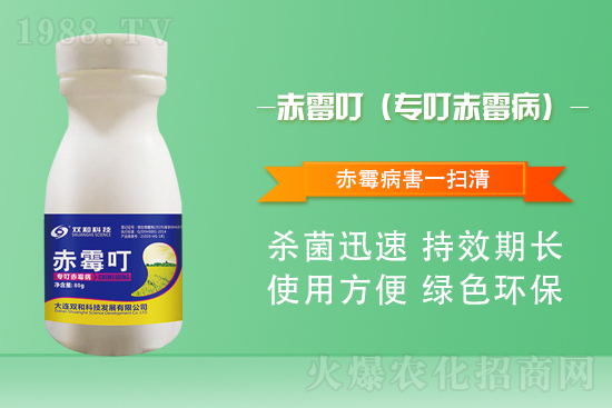 ����������(j��)�����B�p�ͿƼ��ٺ�1988.TV������(chu��ng)���x����