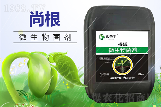 �����������S����Ƽ����޹�˾2